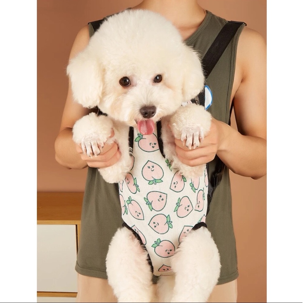 Peach Print Pet Carrier 🐩